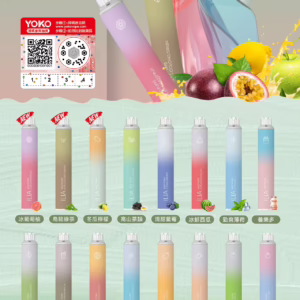 哩亞四代拋棄式🪄6500口可充電🔋超美21口味新上市