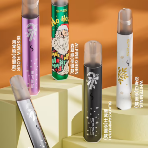 💖SP2S主機🎄聖誕限定款💖